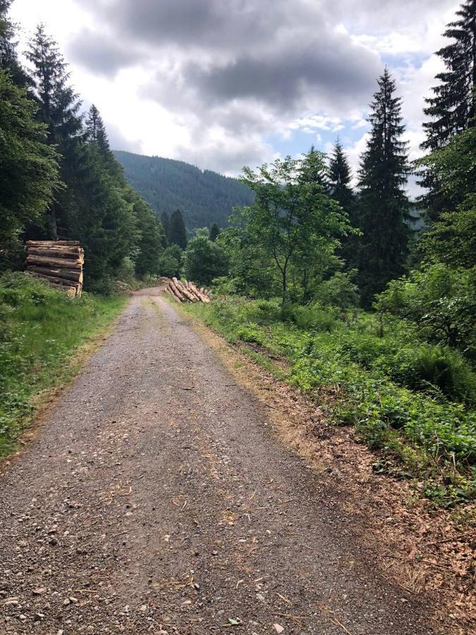 Haus Am Scheibenfelsen Leilighet St. Blasien Eksteriør bilde